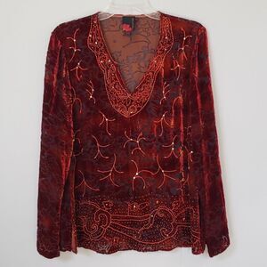 Debbie Shuchat Tunic Womens 14 Silk Velvet Sheer Burnout Embroidered Celestial